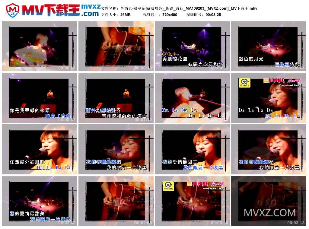 陈绮贞-温室花朵(演唱会)_国语_流行_MA109203